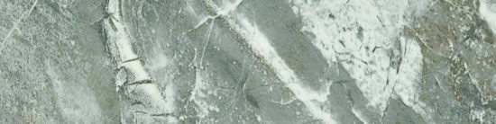 Parana 4X12 | Tile Center