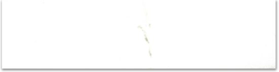 Polished 3X12 Adoration Bullnose | Tile Center