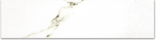 Polished 3X12 Adoration Bullnose | Tile Center