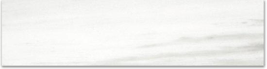 Polished 3X12 Devotion Bullnose | Tile Center