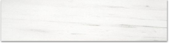 Polished 3X12 Devotion Bullnose | Tile Center