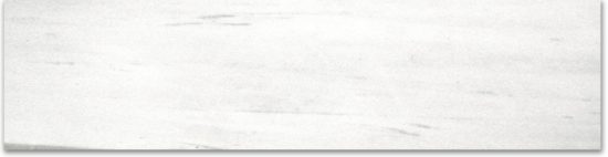 Polished 3X12 Devotion Bullnose | Tile Center