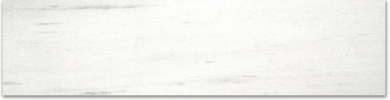 Polished 3X12 Devotion Bullnose | Tile Center