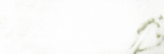 Polished Adoration 10.5X32 | Tile Center