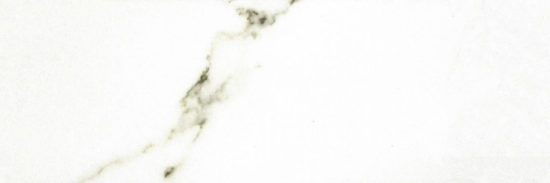 Polished Adoration 10.5X32 | Tile Center