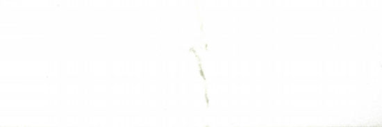 Polished Adoration 10.5X32 | Tile Center