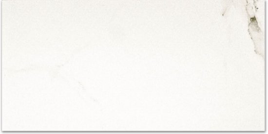 Polished Adoration 16X32 | Tile Center