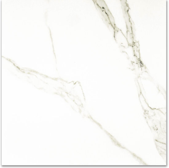 Polished Adoration 24X24 | Tile Center