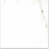 Polished Adoration 24X24 | Tile Center