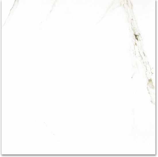 Polished Adoration 24X24 | Tile Center