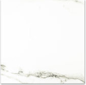 Polished Adoration 24X24 | Tile Center