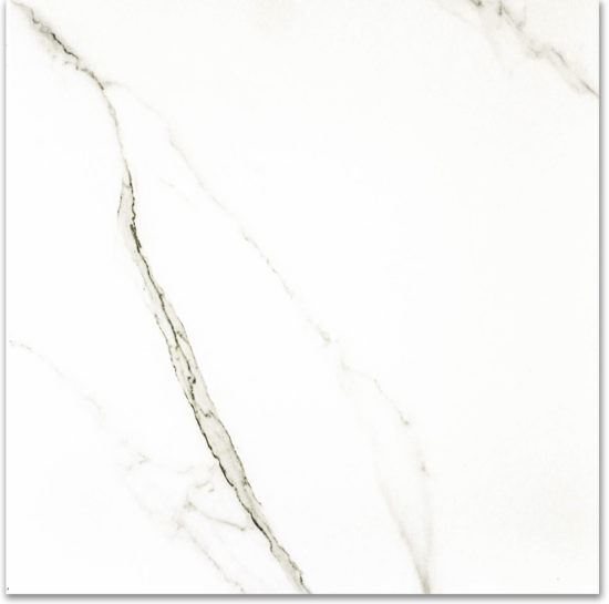 Polished Adoration 24X24 | Tile Center