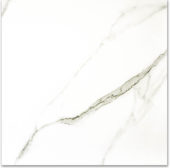 Polished Adoration 24X24 | Tile Center