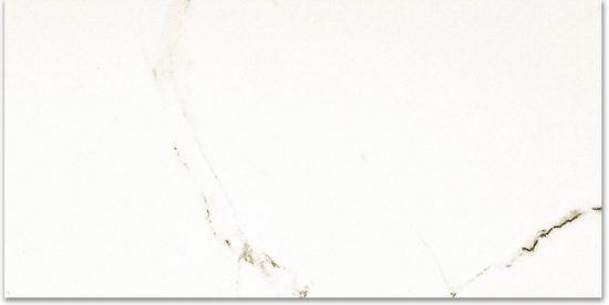 Polished Adoration 24X48 | Tile Center