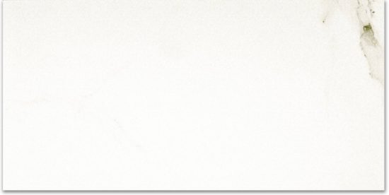 Polished Adoration 24X48 | Tile Center