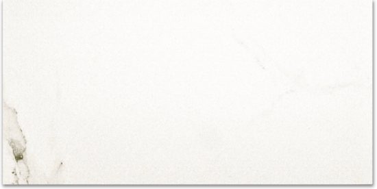 Polished Adoration 24X48 | Tile Center