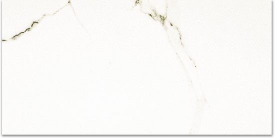 Polished Adoration 24X48 | Tile Center