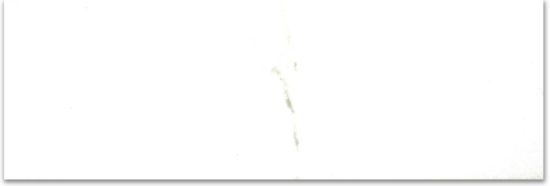 Polished Adoration 4X12 | Tile Center