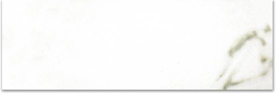 Polished Adoration 4X12 | Tile Center