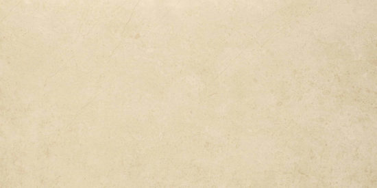 Polished Affection 16X32 | Tile Center