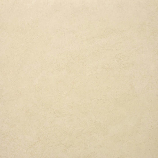 Polished Affection 24X24 | Tile Center