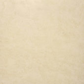 Polished Affection 24X24 | Tile Center