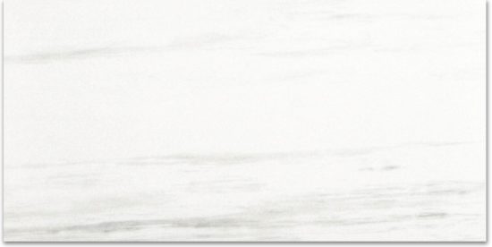 Polished Devotion 12X24 | Tile Center