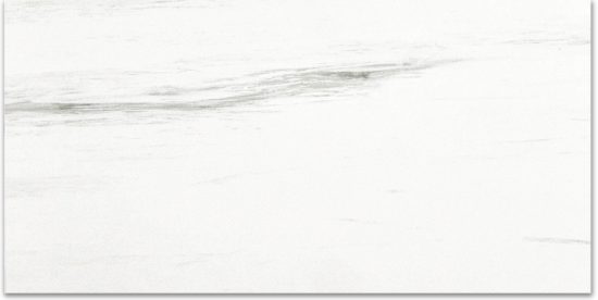 Polished Devotion 12X24 | Tile Center