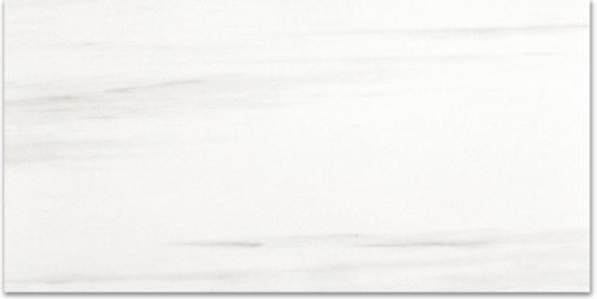 Polished Devotion 12X24 | Tile Center