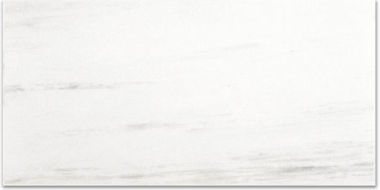 Polished Devotion 12X24 | Tile Center