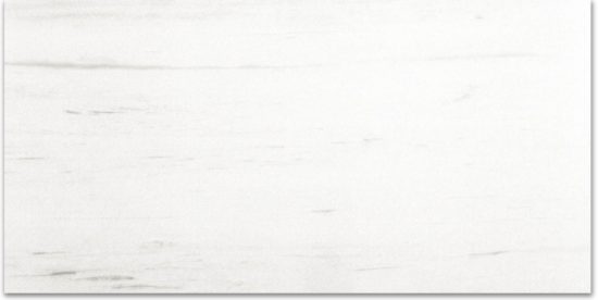 Polished Devotion 12X24 | Tile Center