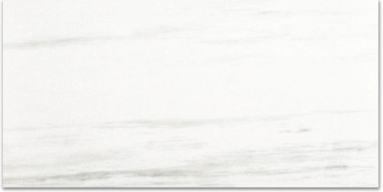 Polished Devotion 24X48 | Tile Center