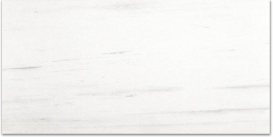 Polished Devotion 24X48 | Tile Center