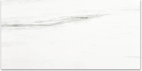 Polished Devotion 24X48 | Tile Center