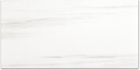 Polished Devotion 24X48 | Tile Center