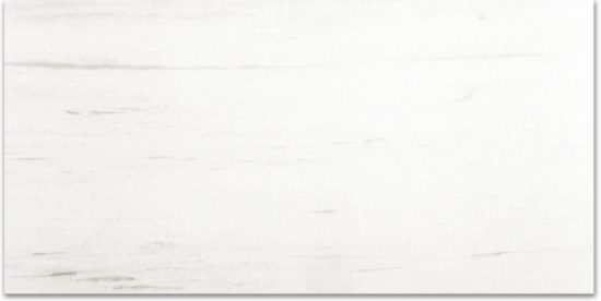 Polished Devotion 24X48 | Tile Center