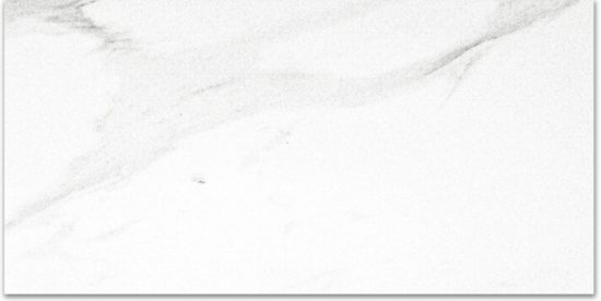 Polished Infatuation 12X24 | Tile Center