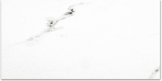 Polished Infatuation 16X32 | Tile Center