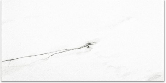 Polished Infatuation 16X32 | Tile Center