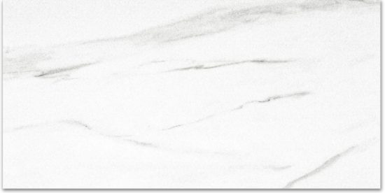 Polished Infatuation 16X32 | Tile Center