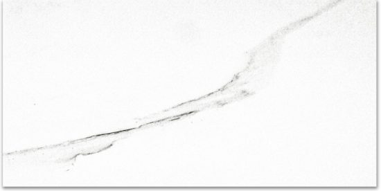 Polished Infatuation 16X32 | Tile Center