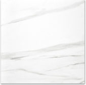 Polished Infatuation 24X24 | Tile Center