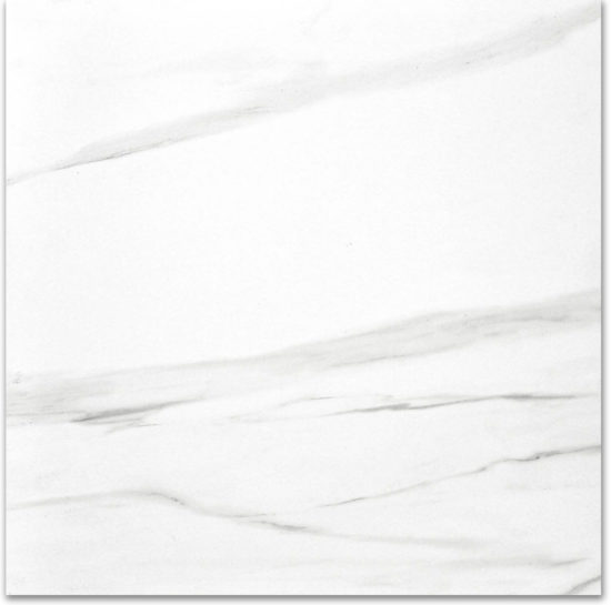 Polished Infatuation 24X24 | Tile Center