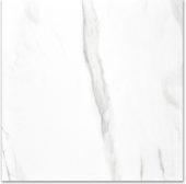 Polished Infatuation 24X24 | Tile Center