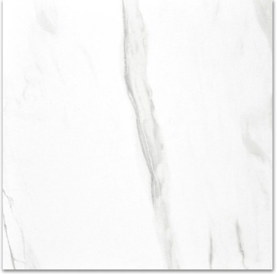 Polished Infatuation 24X24 | Tile Center