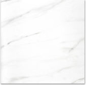 Polished Infatuation 24X24 | Tile Center