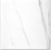 Polished Infatuation 24X24 | Tile Center