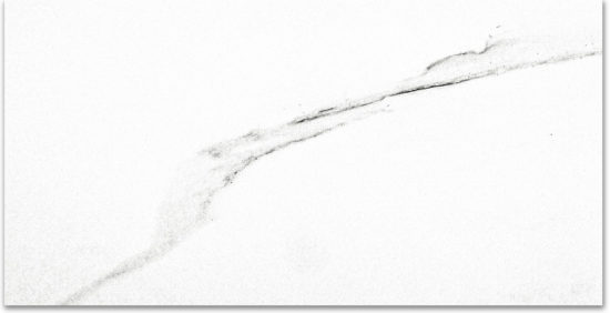 Polished Infatuation 24X48 | Tile Center