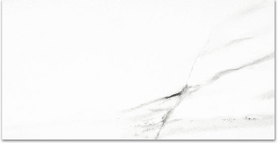 Polished Infatuation 24X48 | Tile Center