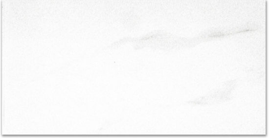 Polished Infatuation 24X48 | Tile Center